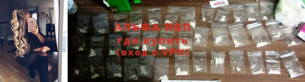 твердый Балахна